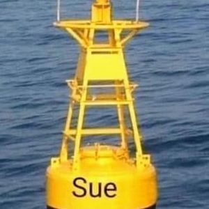 Meet your Posher, Susan